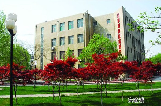 淄博市工業學校開設哪些計算機課程？