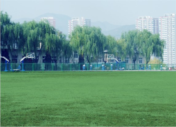 青島滿天星職業培訓學校怎么樣？