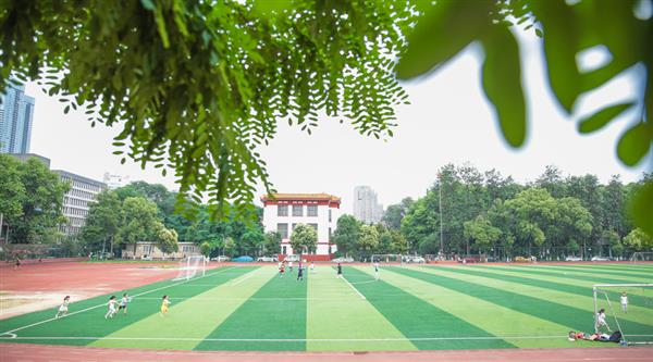 為什么選擇青島滿天星職業培訓學校？